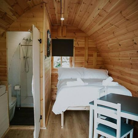 Ash Winter Retreat- Hot Tub & Log Bruner Barmouth Exteriör bild
